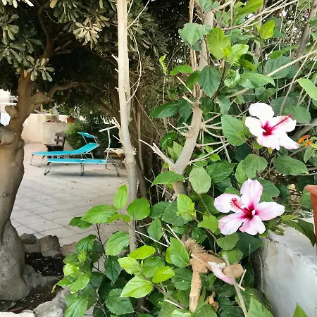 Casa vacanze Music & Favignana
