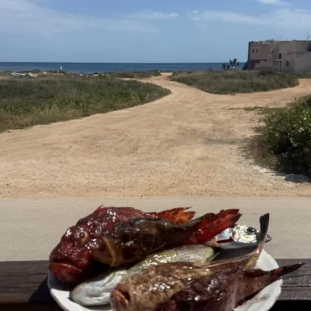 Music & Favignana