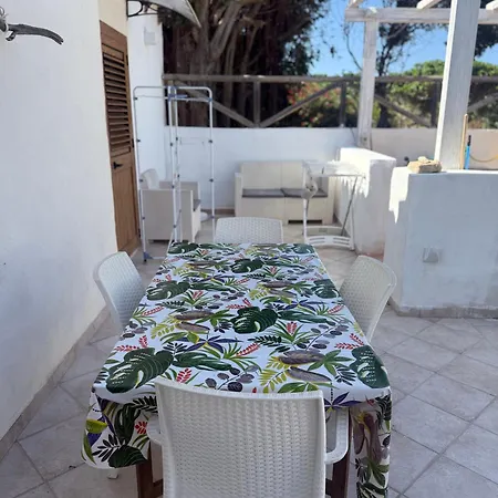 Music & * Favignana