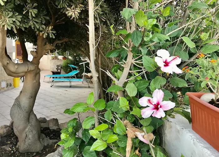 Ferienhaus Music & Favignana